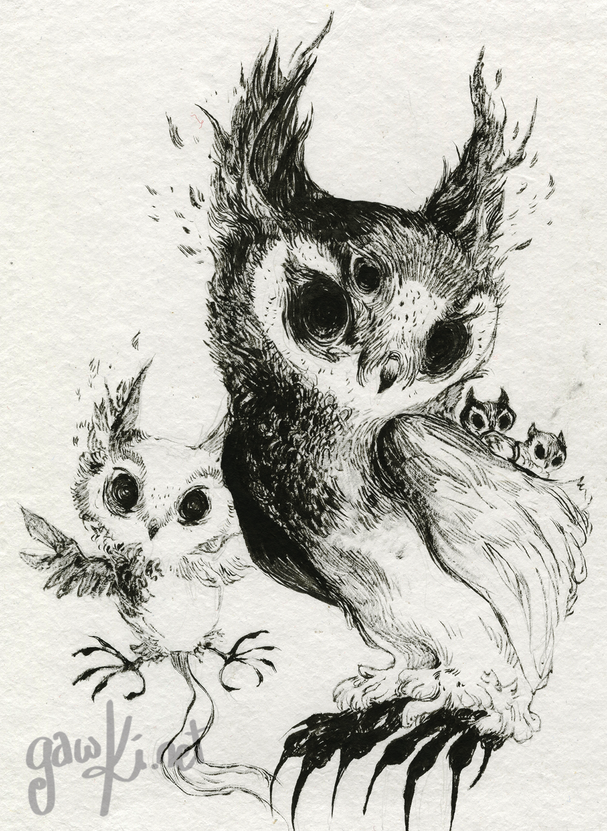 nightowl.png