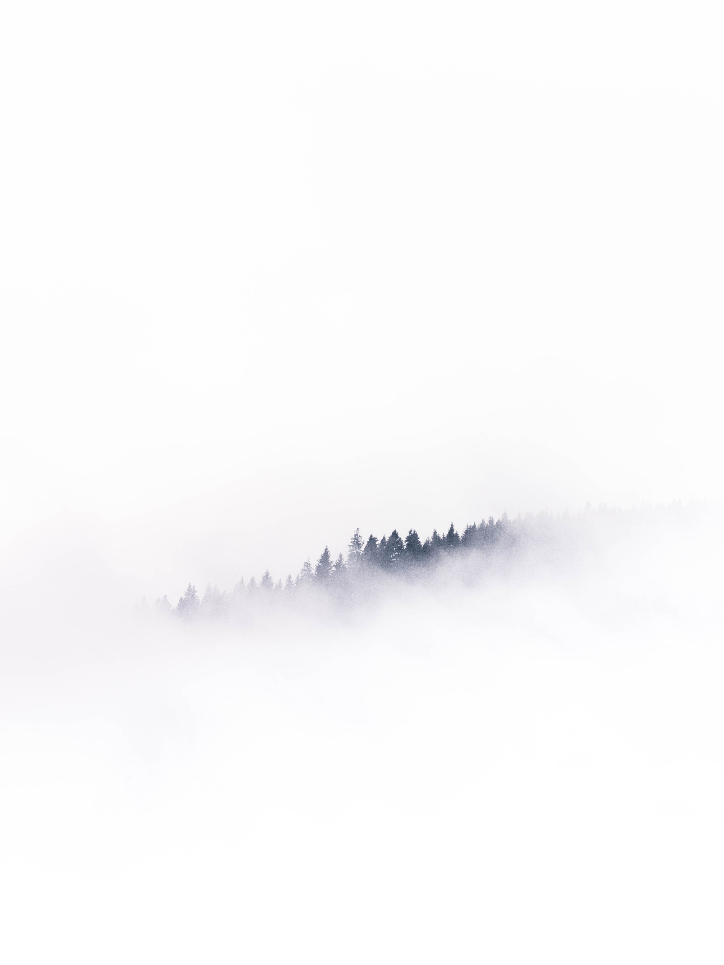 mads-schmidt-rasmussen-6YmzwamGzCg-unsplash.jpg