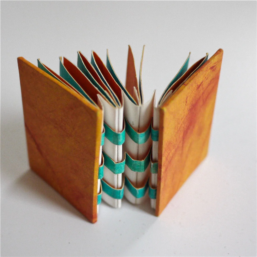 Book by Caroline Adams