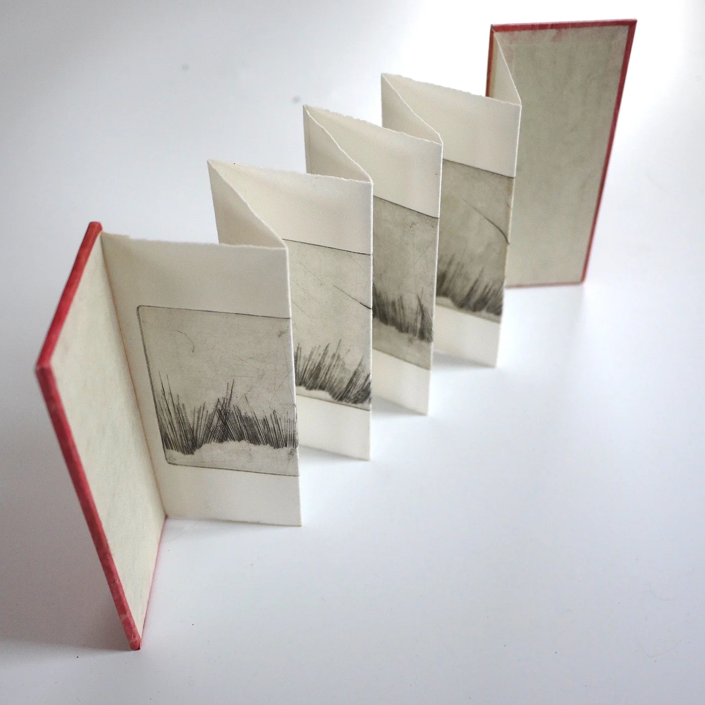 Book by Caroline Adams