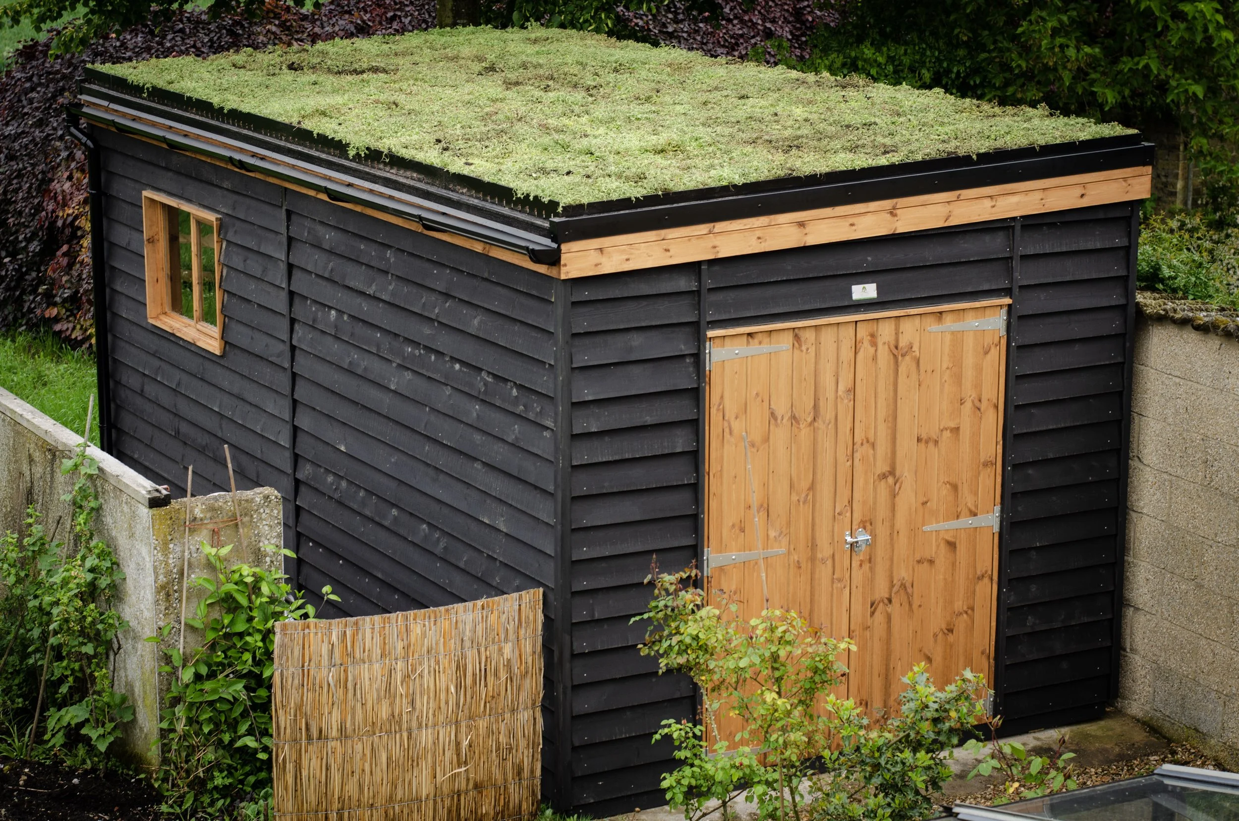 Garden Workshop with sedum roof