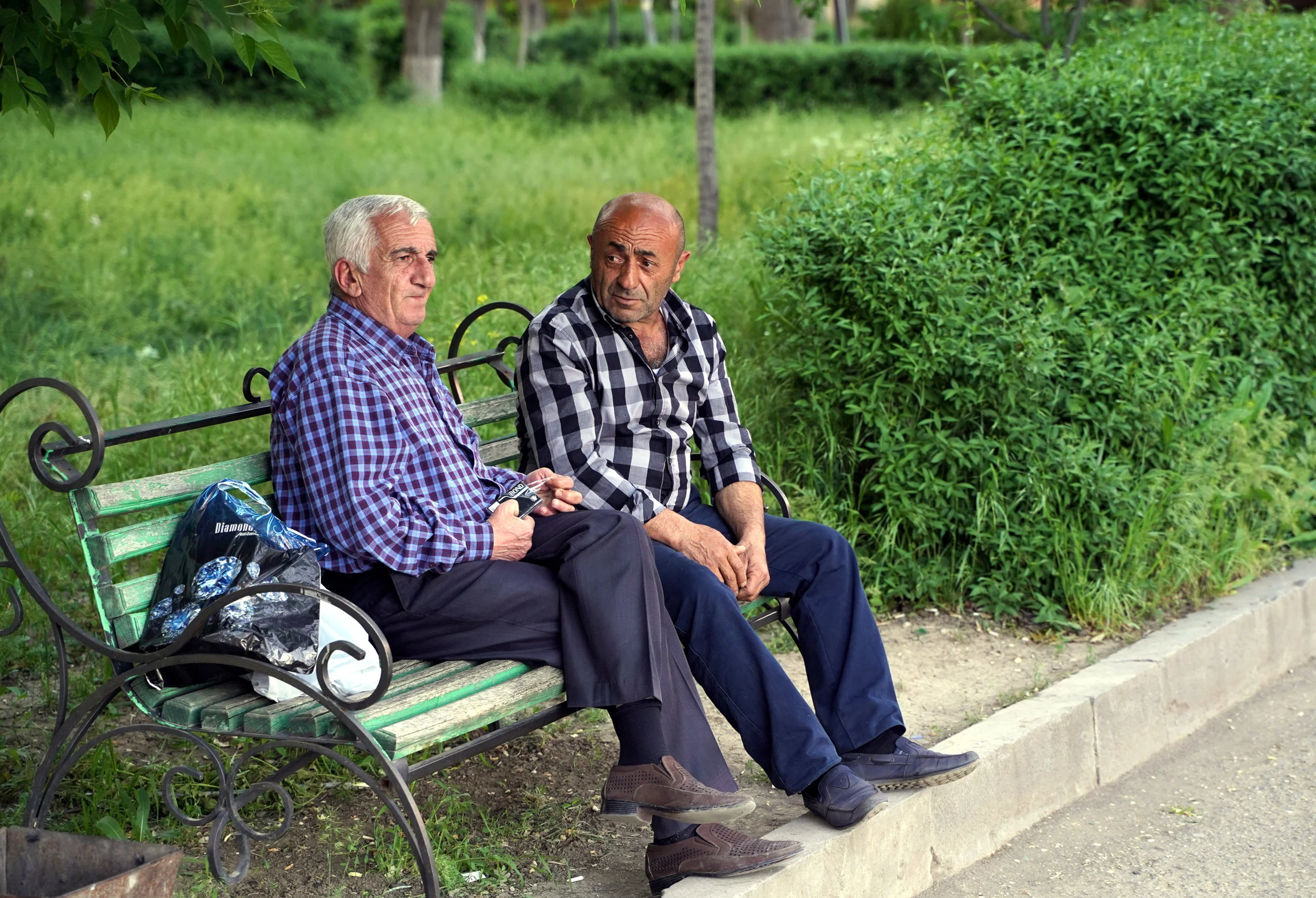 Two oldboys discussing in the park