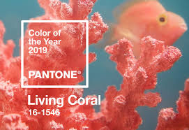 colour of the year pantone.jpeg