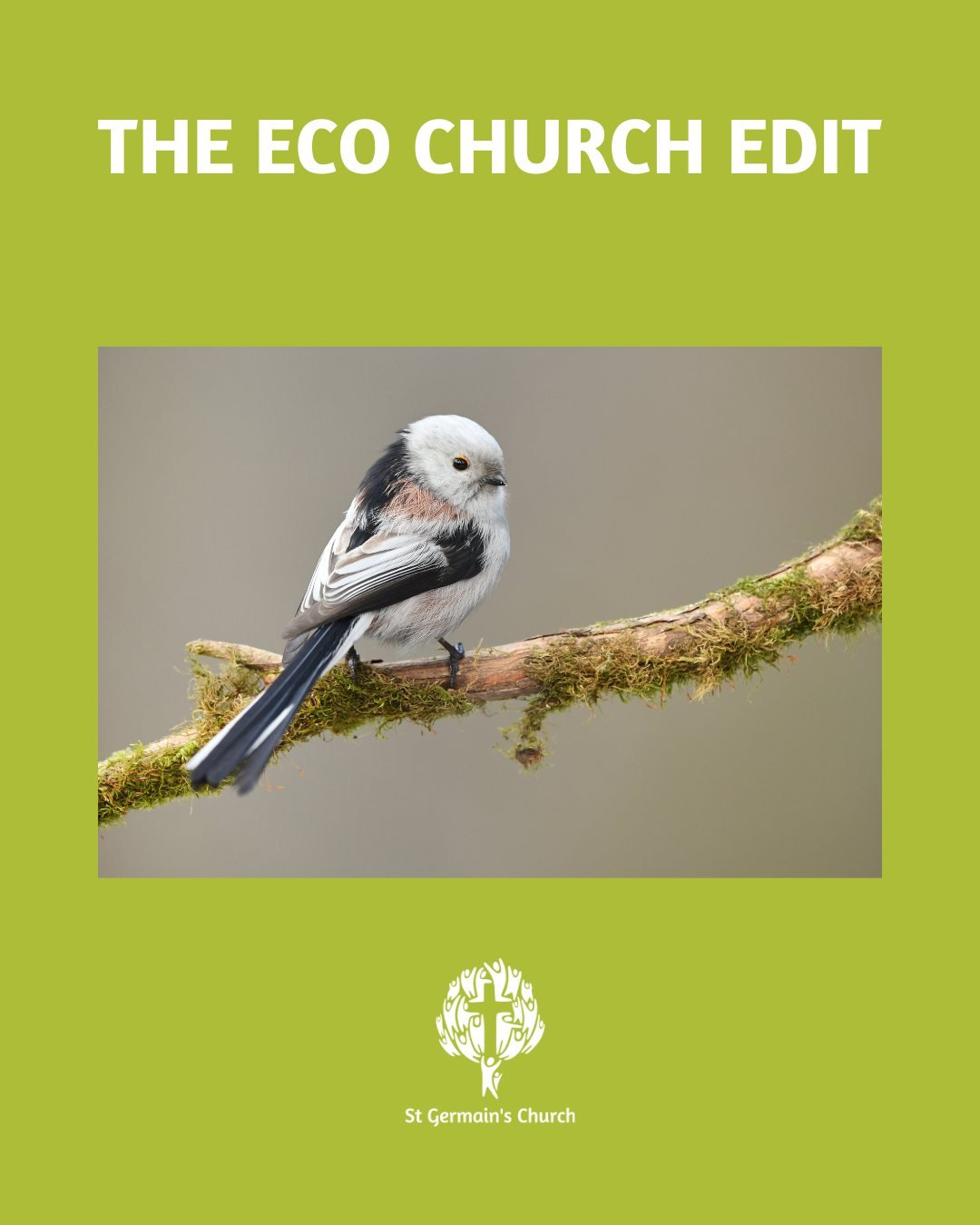 🌿 Eco Church News: Let&rsquo;s Count the Birds! 🐦

As part of our commitment to caring for God&rsquo;s creation at St Germain&rsquo;s (we are proud Bronze Eco Church award holders! 🥉), we&rsquo;re inviting everyone to take part in the RSPB Big Gar