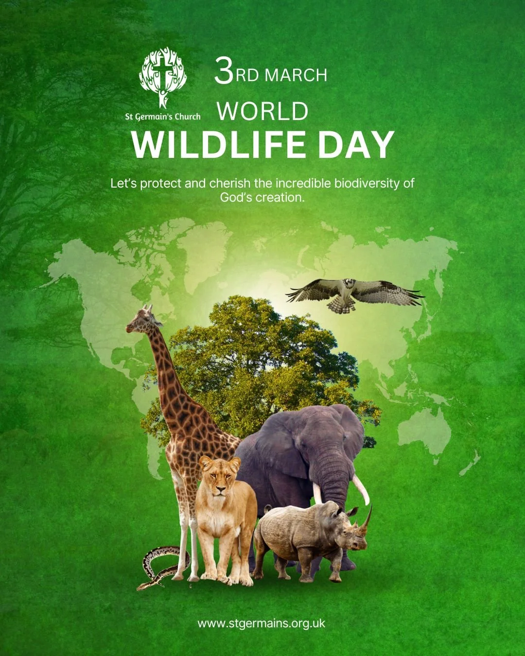 Today is #WorldWildlifeDay So let's celebrate God's diversity by sharing our favourite species in the comments

#creationcare🌏❤️ #Edgbaston #birmingham #churchofengland #ecochurch💚