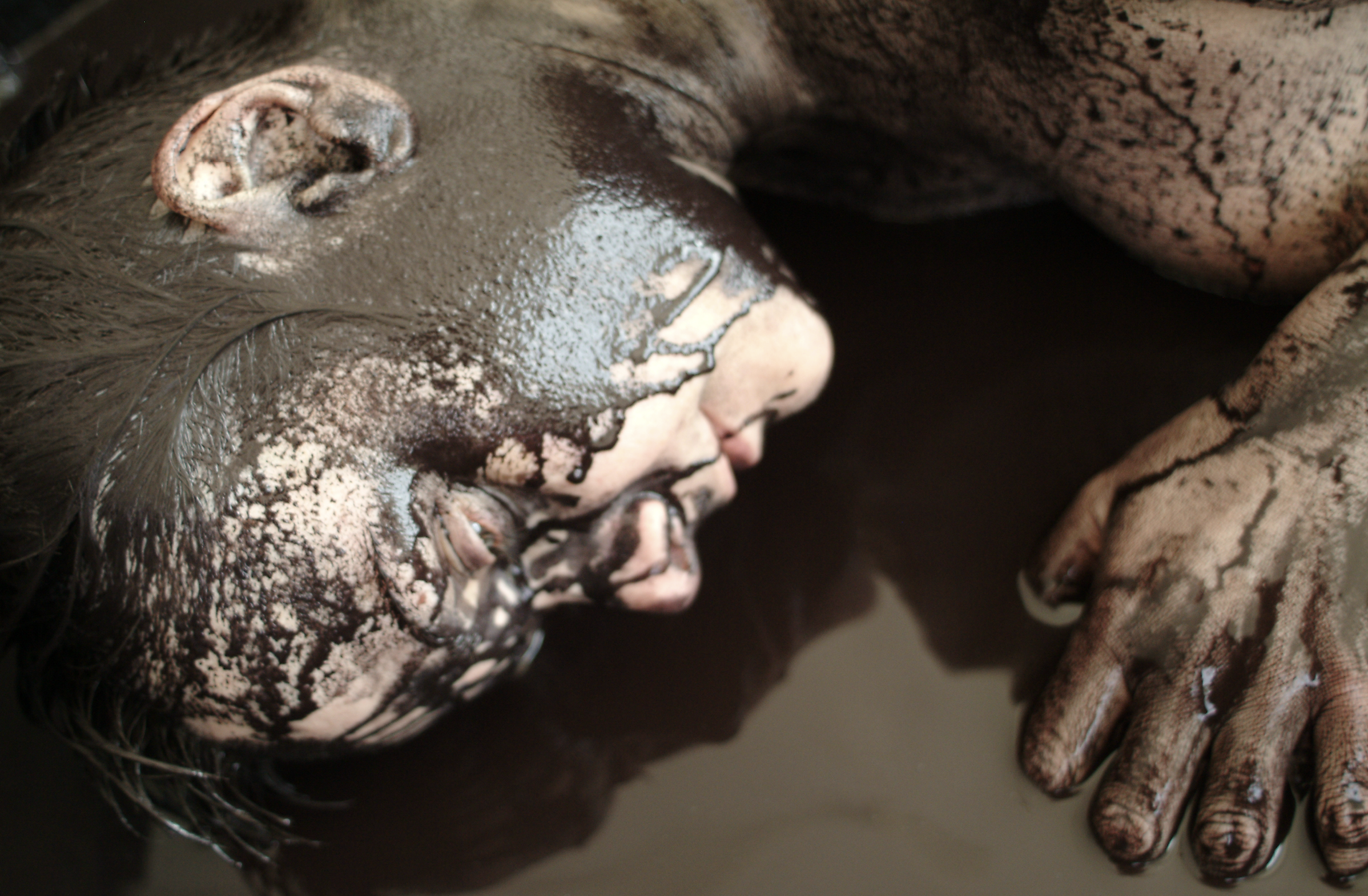 Screen Shot 2023-08-06 at 10.52.14 AM.png