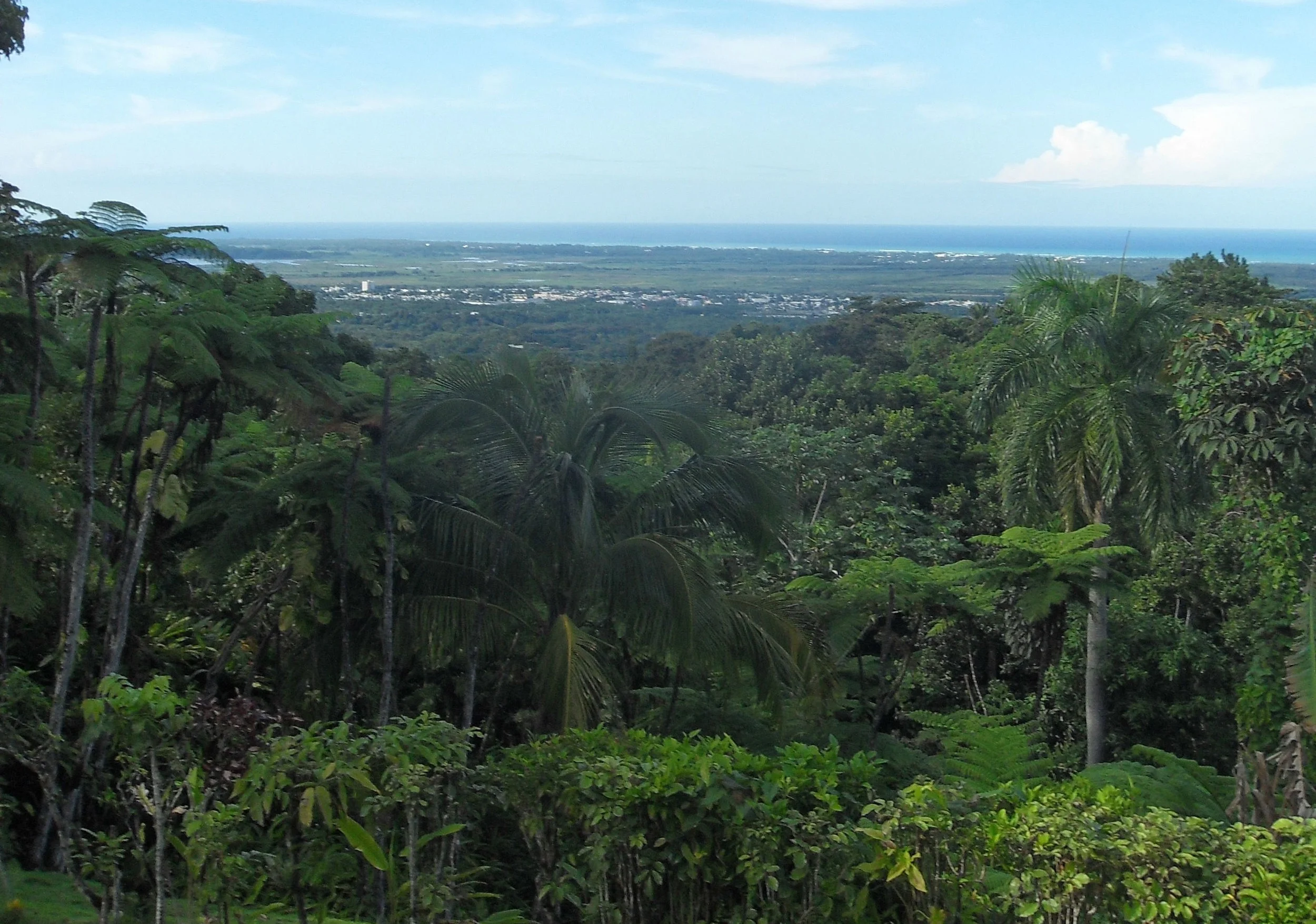Solo una de las muchas vistas de la jungla en la "Villa Hermosa" de Margarita.