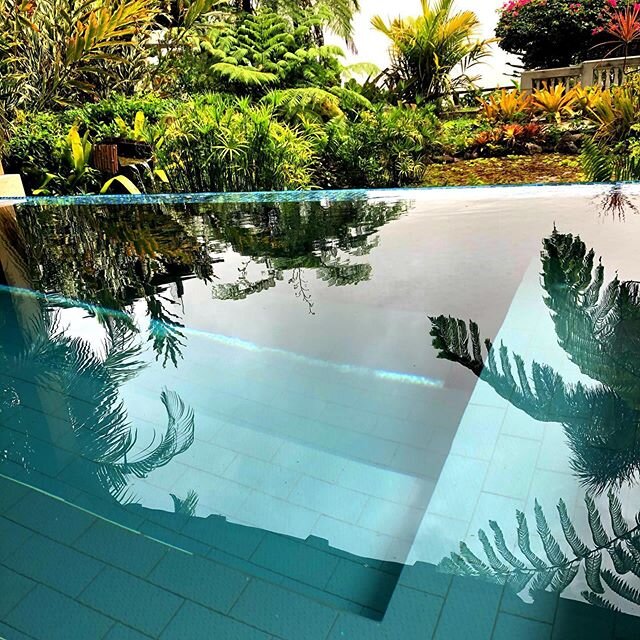 The pool looks so refreshing. Remember it is &ldquo;by appointment&rdquo; only so never shared. #vanishingedgepool #rainforestinn #voyturisteando #