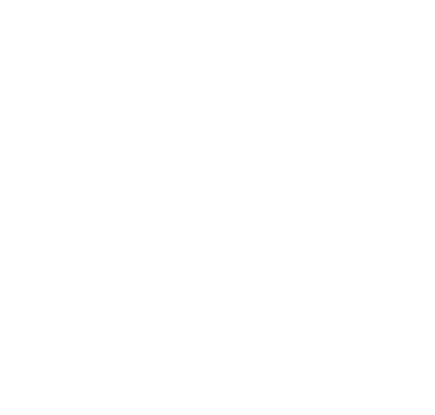 ZAN QUINN