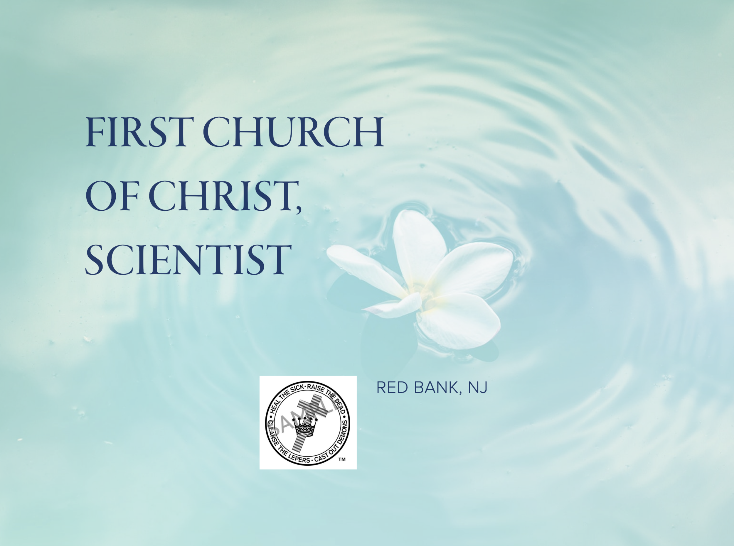 Screen Shot 2018-12-19 at 11.42.48 AM.png