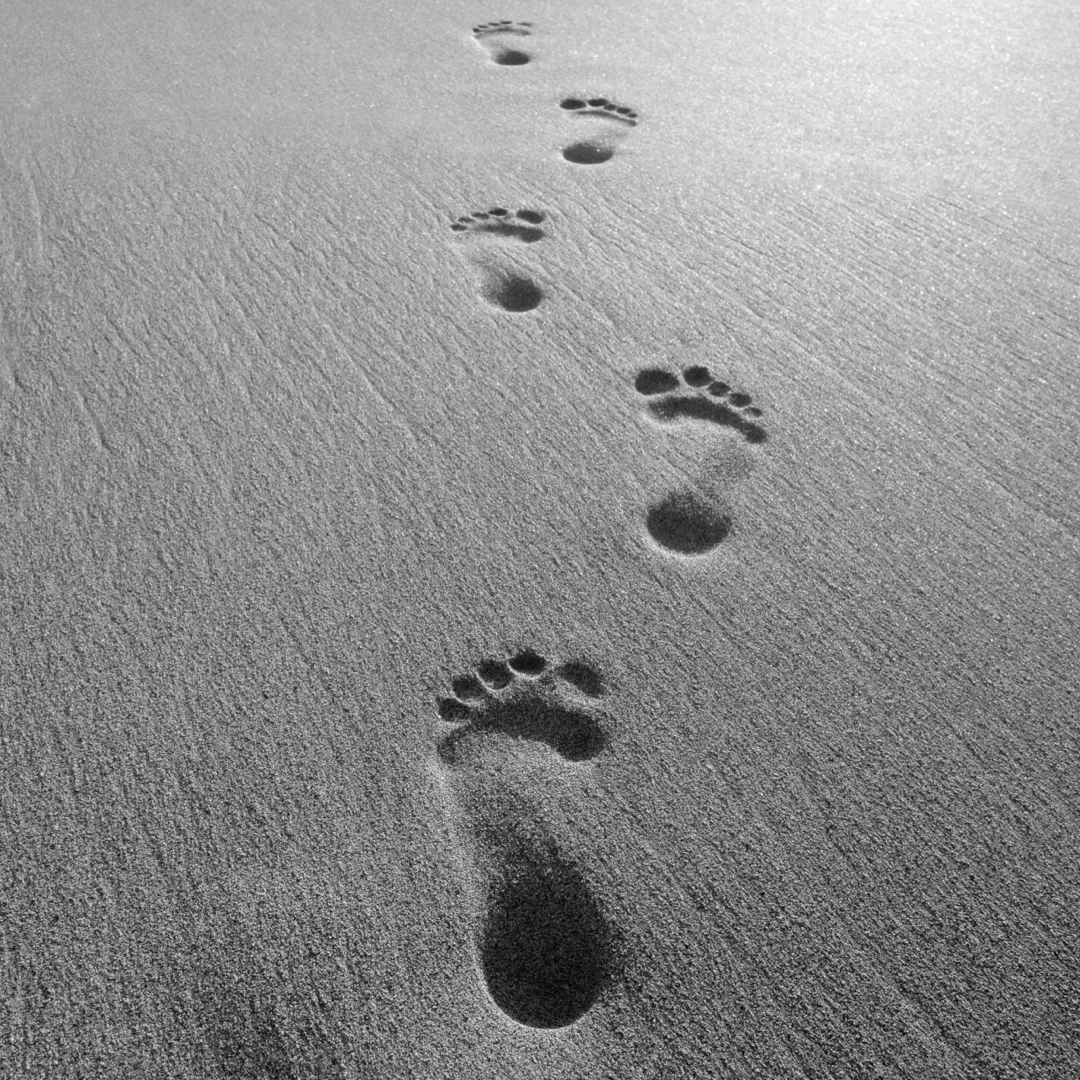 Home Page Images.006.jpeg