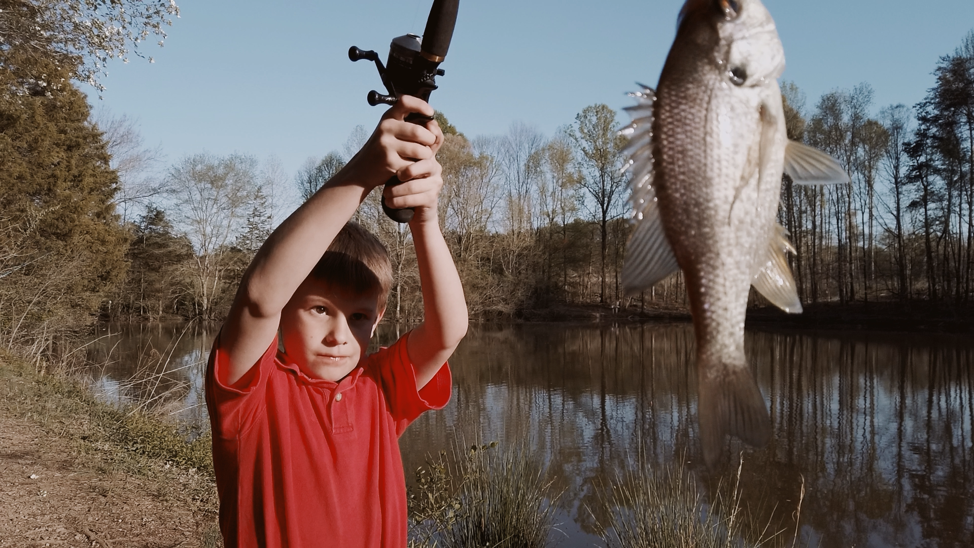 Fishing and some thoughts about minimalist video📽🎣