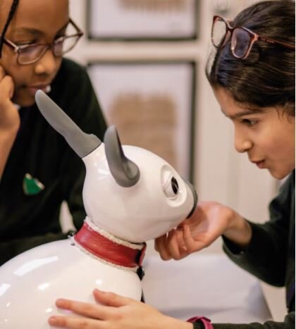 The Isolation Pandemic.