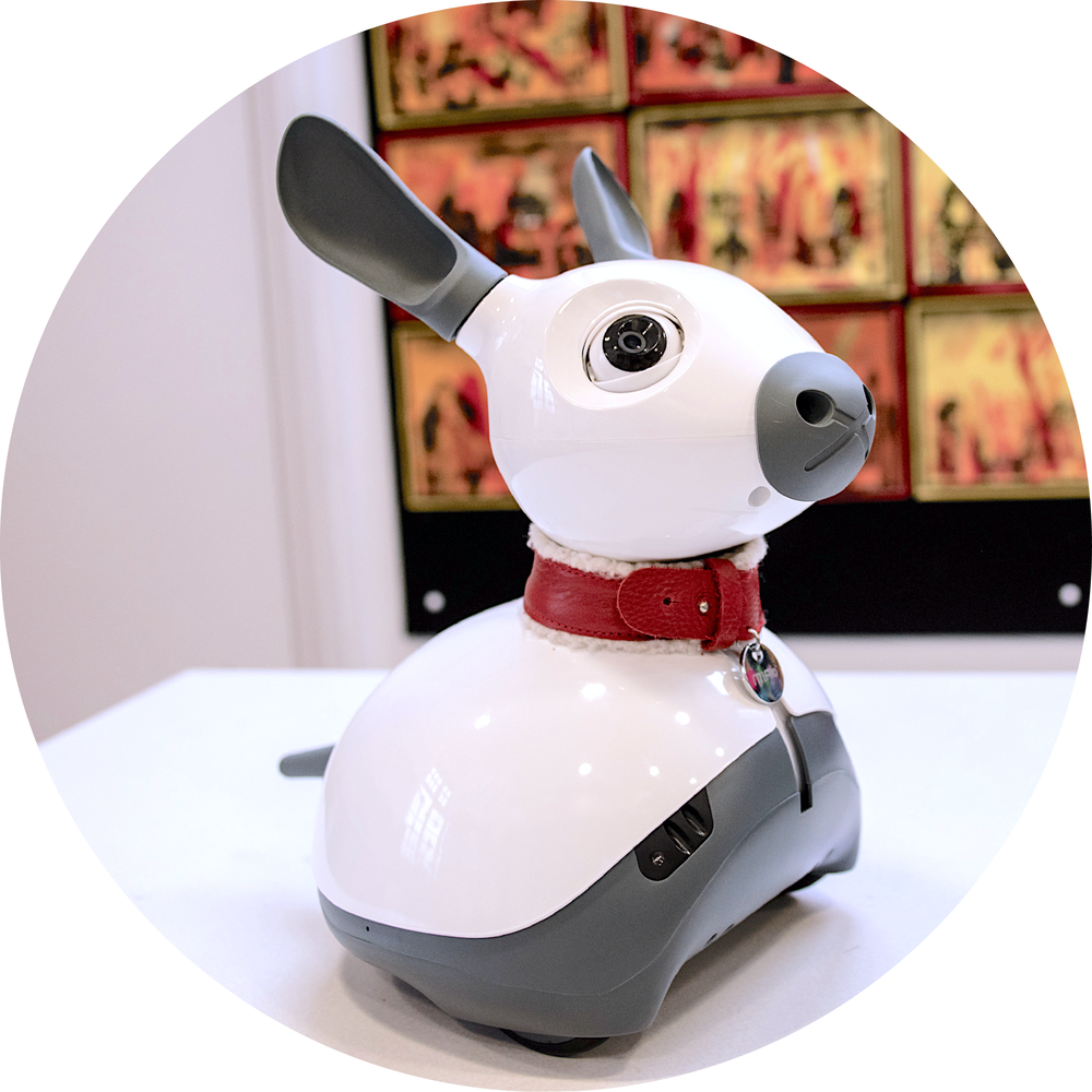 Miro E Miro E
