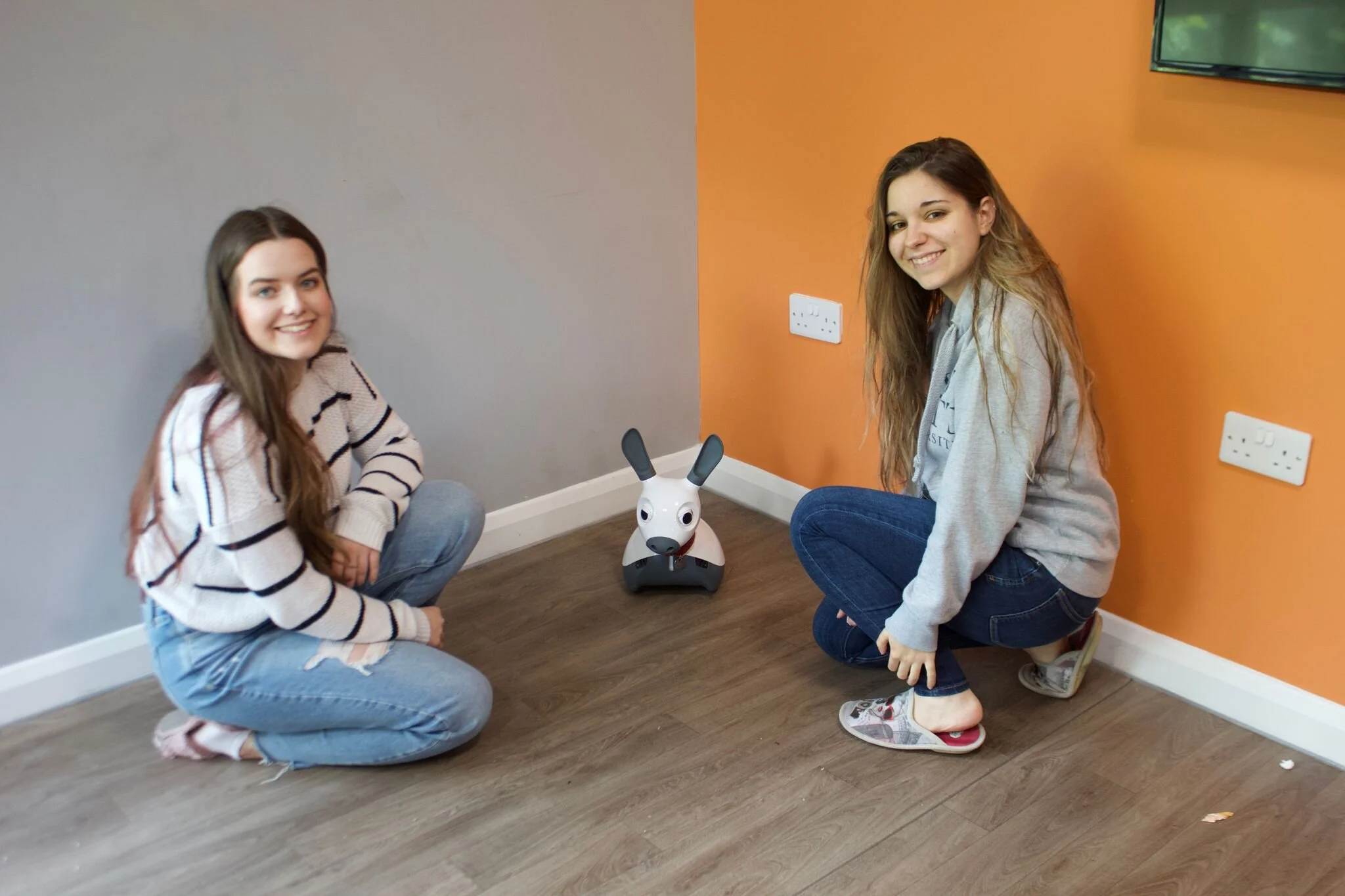 Can Robots Support Social Distancing within the Home?