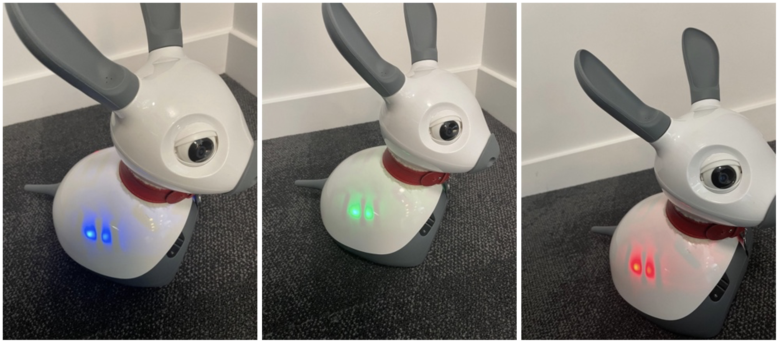 Student Showcase: Interacting with MiRo via Auditory-Mediated Sensations