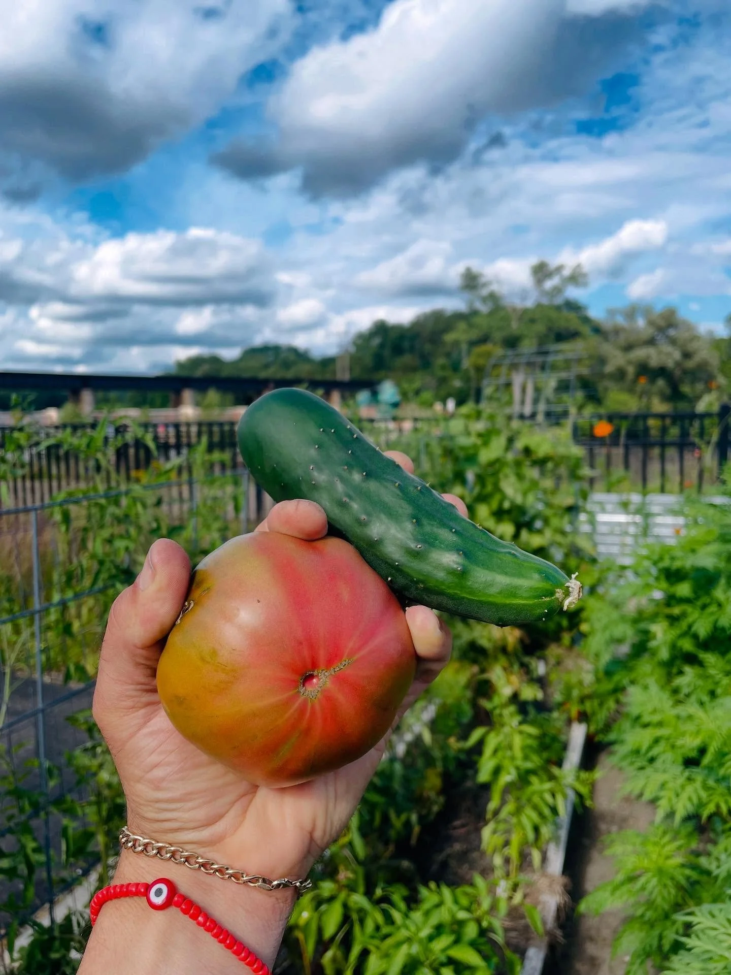 What&rsquo;s everyone doing with their tomatoes and cucs? I&rsquo;m making shopska! All you need is Bulgarian Feta-which is creamier than its Greek buddy. I get mine at the Aladdin Market on Packard. Dice up the veg and crumble the feta on/in it. Som