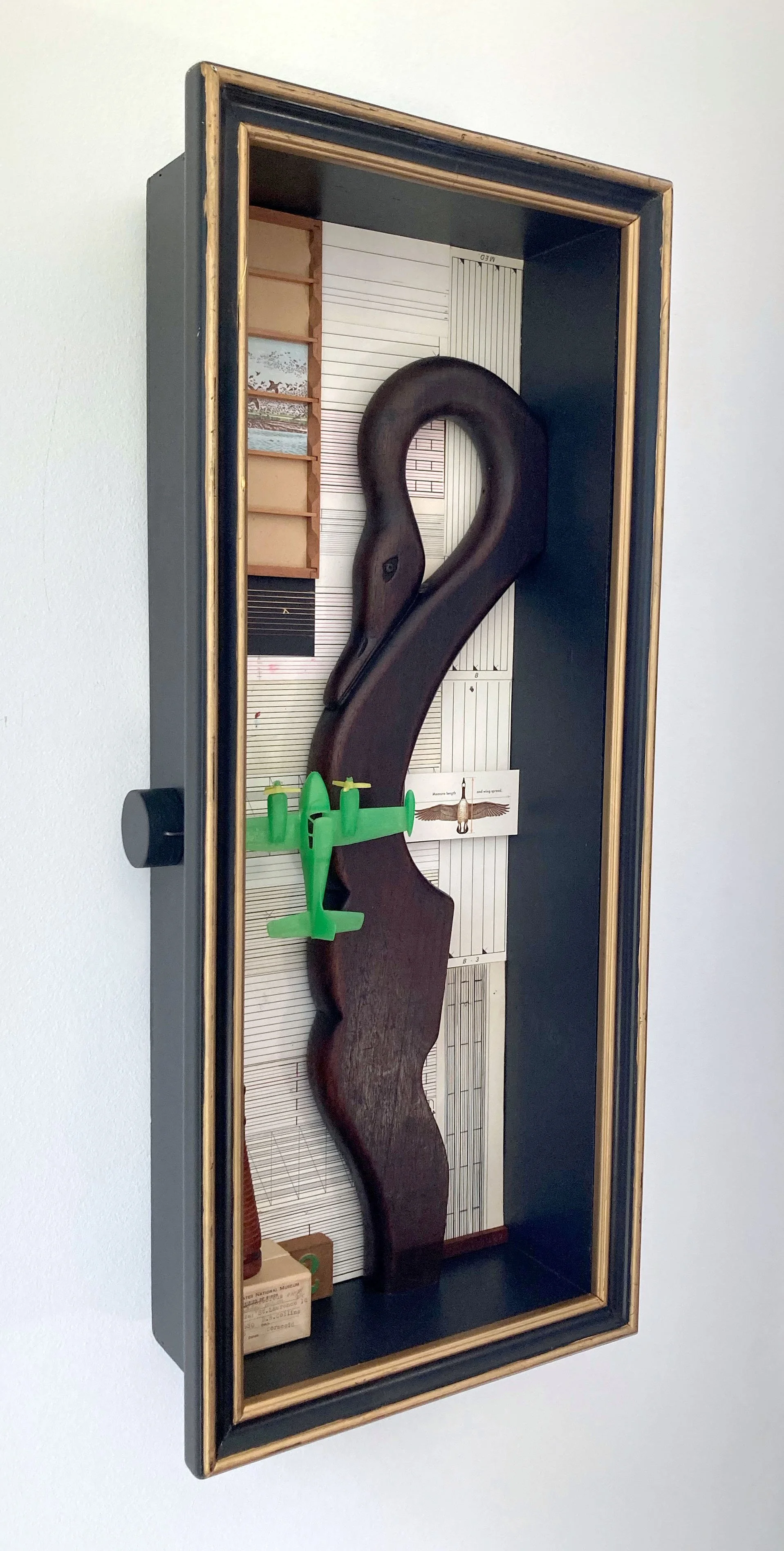 IMG_2362 oblique 72dpi.jpeg