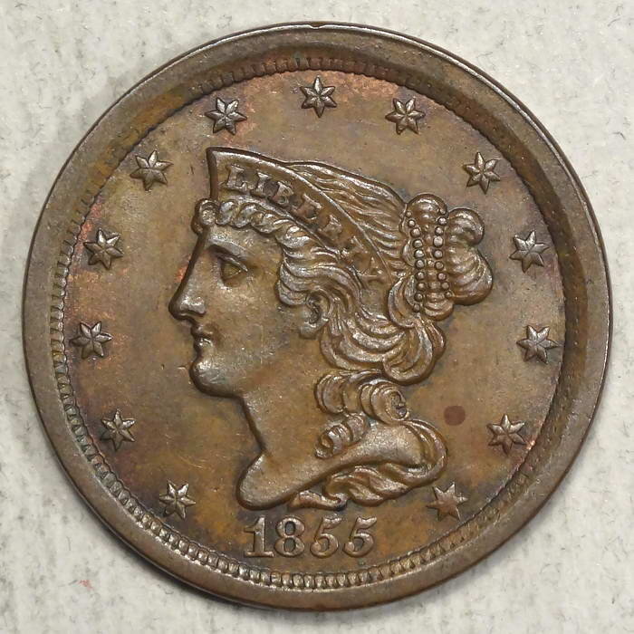 HalfCent1855_21.JPG