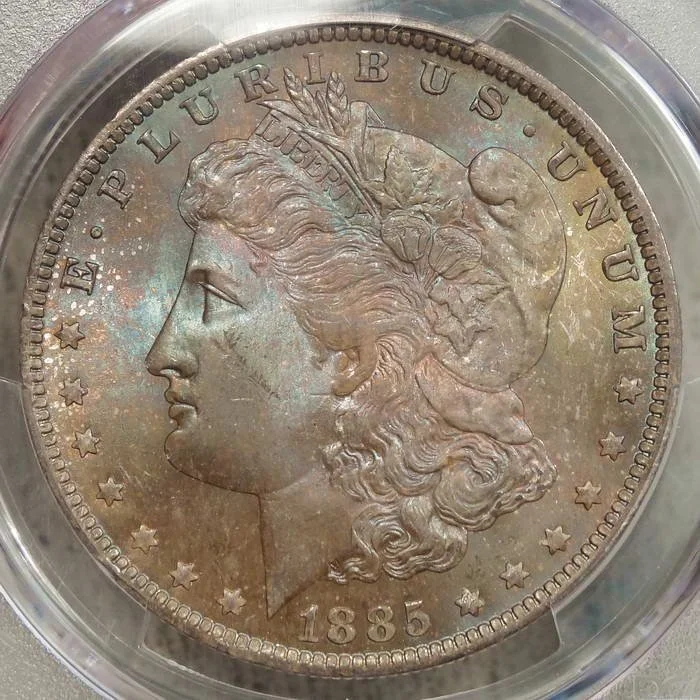 dol1885O_P4151A.JPG