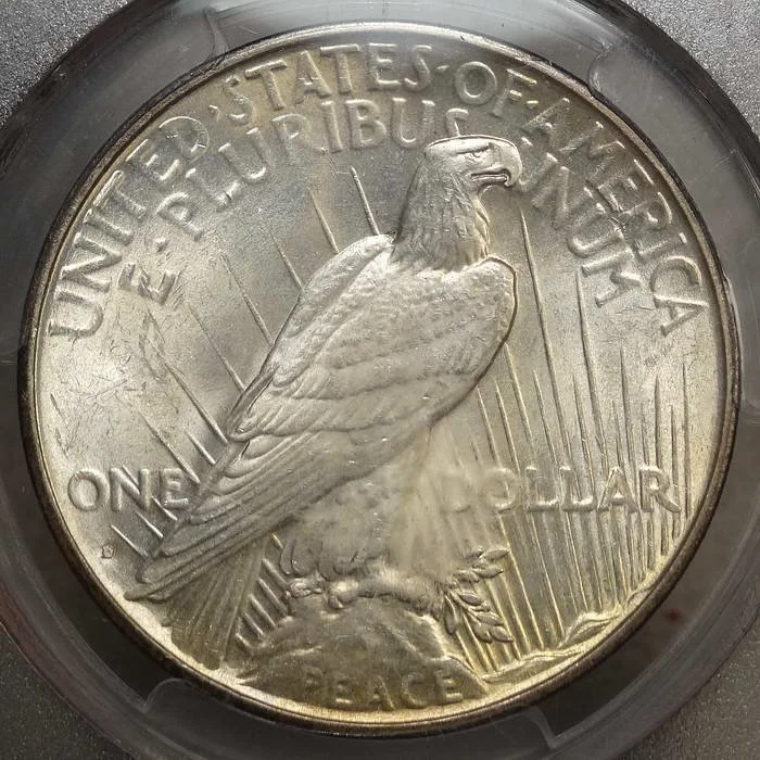 dol34D_P5997B.JPG