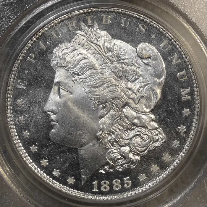 dol1885_P6939B.JPG