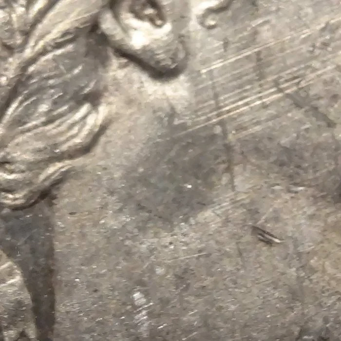 half1894S_P1285E.JPG