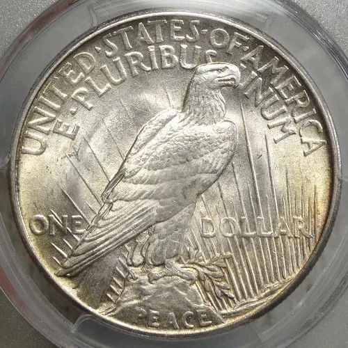 dol21_P5807C.JPG
