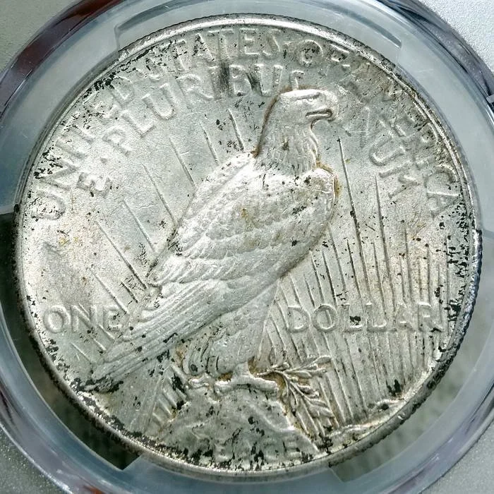 dol1928_P9321B.JPG