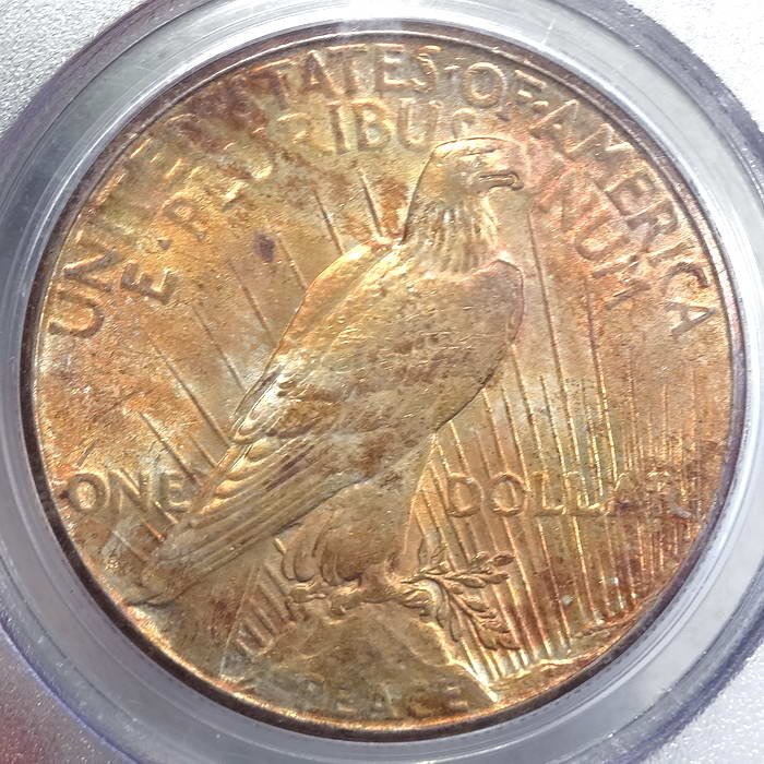 dol1923S_P8965C.JPG