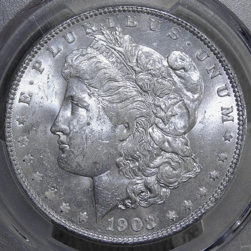 dol1903O_P3465A.JPG