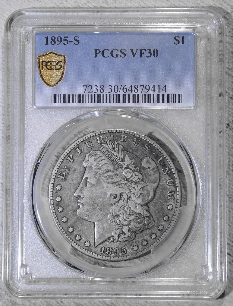 dol1895S_P9414C.JPG