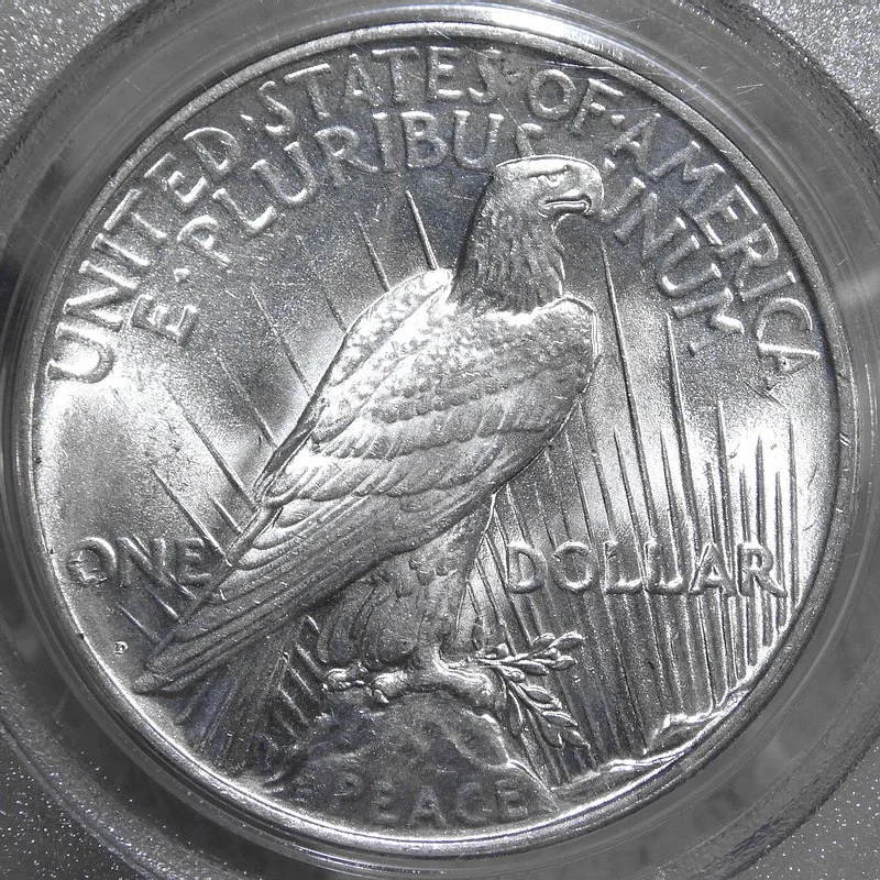 dol1927D_P7900B.JPG