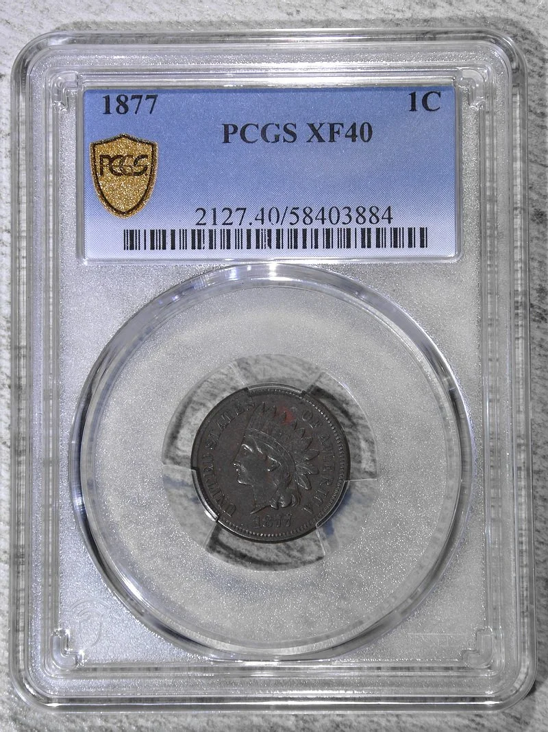 cent1877_P3884D.JPG