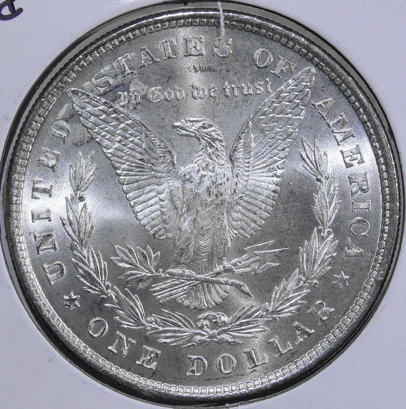 dol1878_8TF_0721-10 (3).JPG