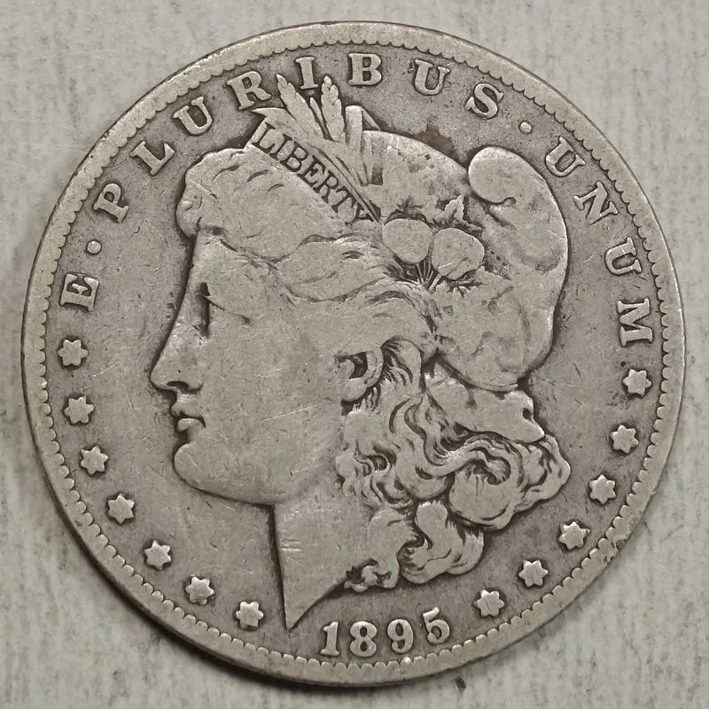 dol1895O_0312-38 (1).JPG