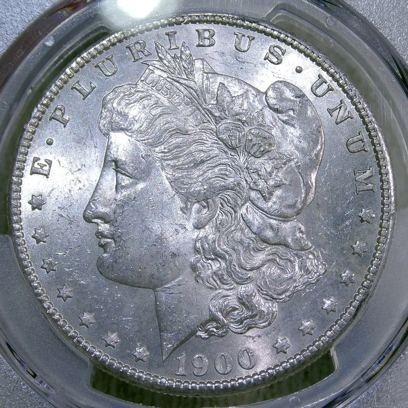 dol1900S_P3699A.jpg
