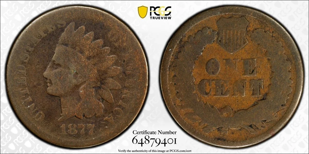 cent1877_P9401Z.jpg