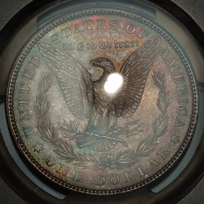 dol1903_P1664C.jpg