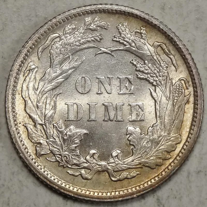 dime1891_1119-05 (2).JPG