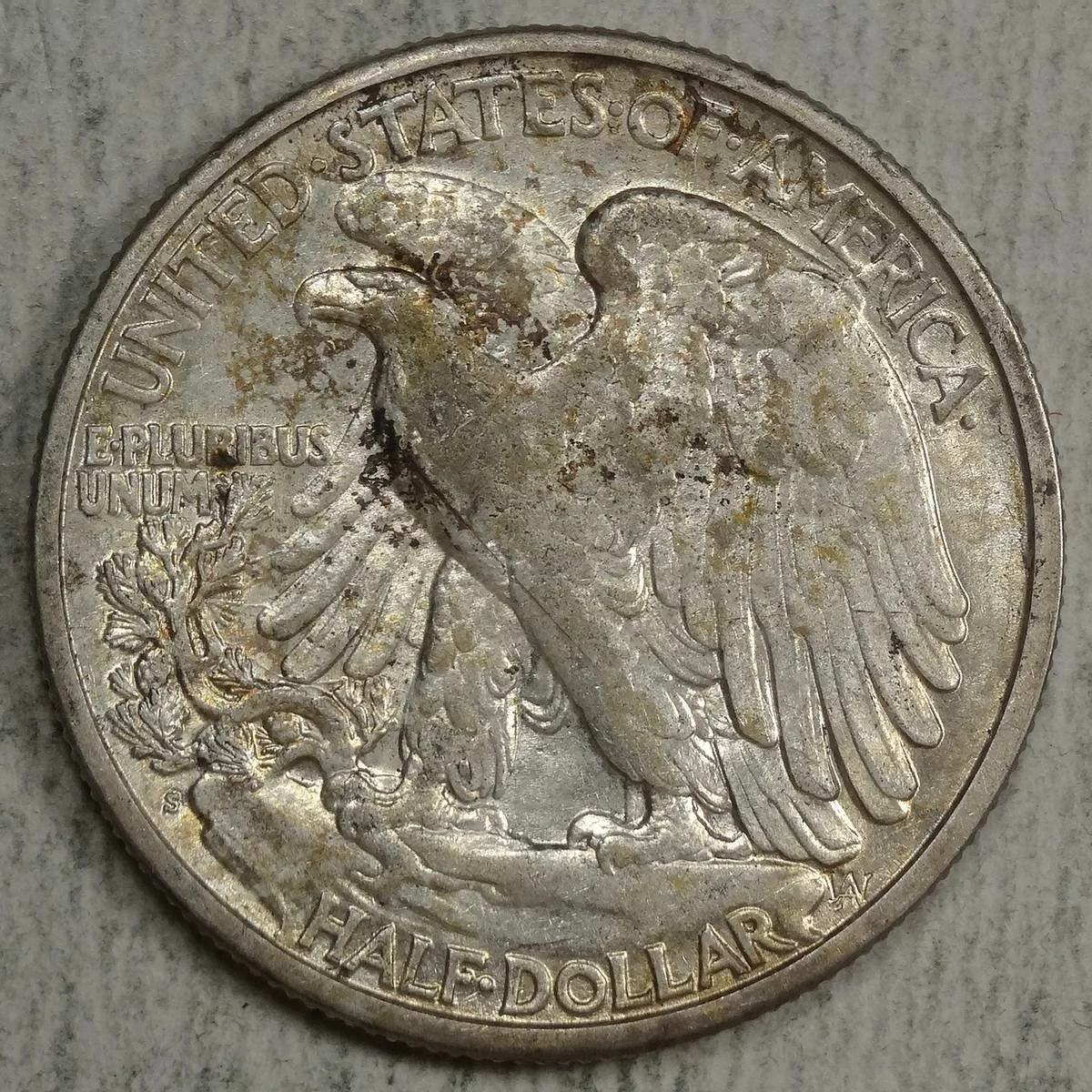 half1919S_0503-02 (6).JPG