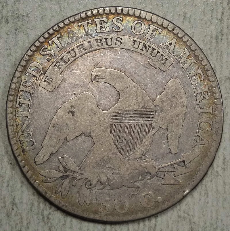 half1813_0315-11 (3).JPG