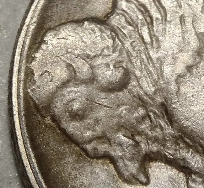 nix1919S_1228-15 (4).JPG