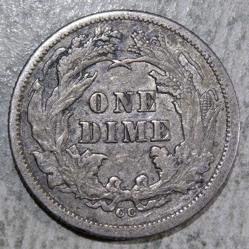 dime1877CC_0829-11 (2).JPG