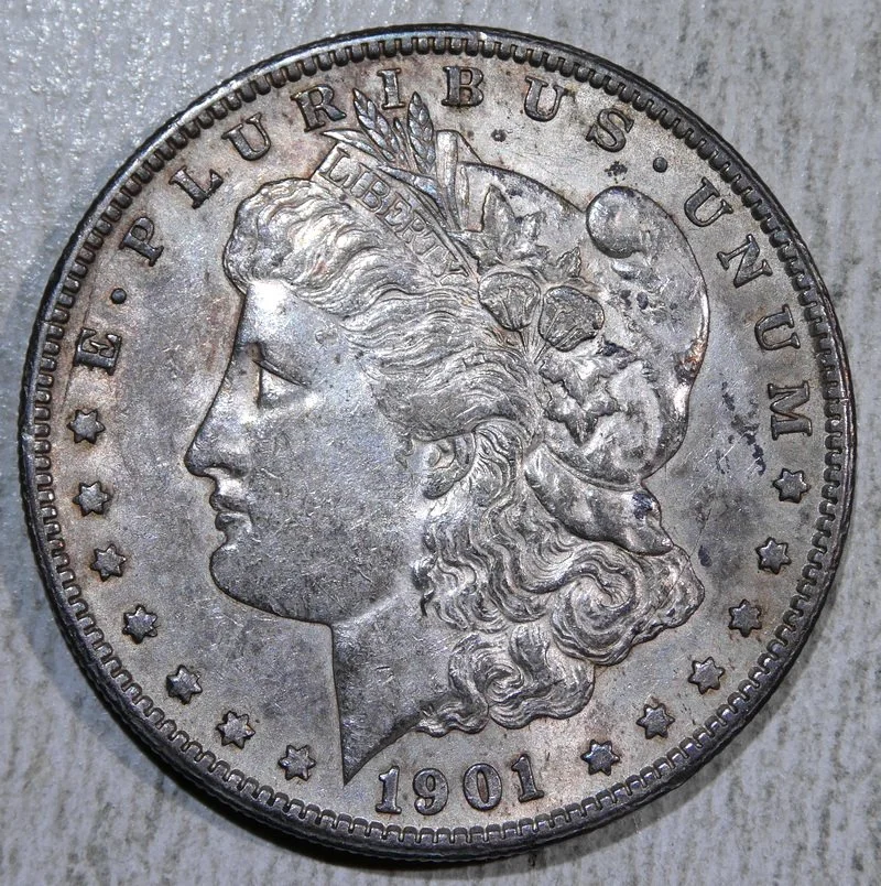 dol1901S_0909-11 (1).JPG