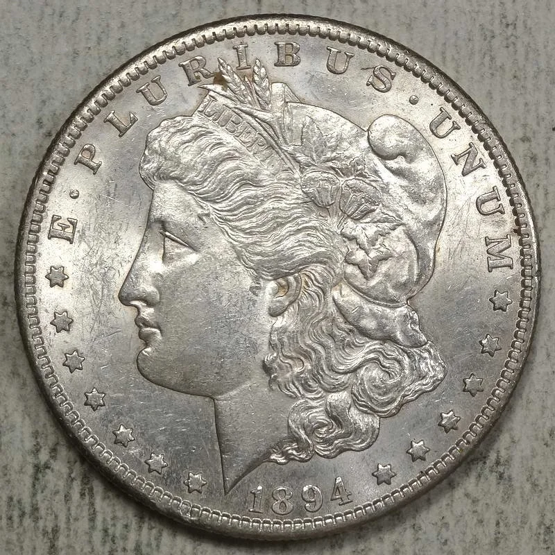 dol1894S_0313-04 (1).JPG