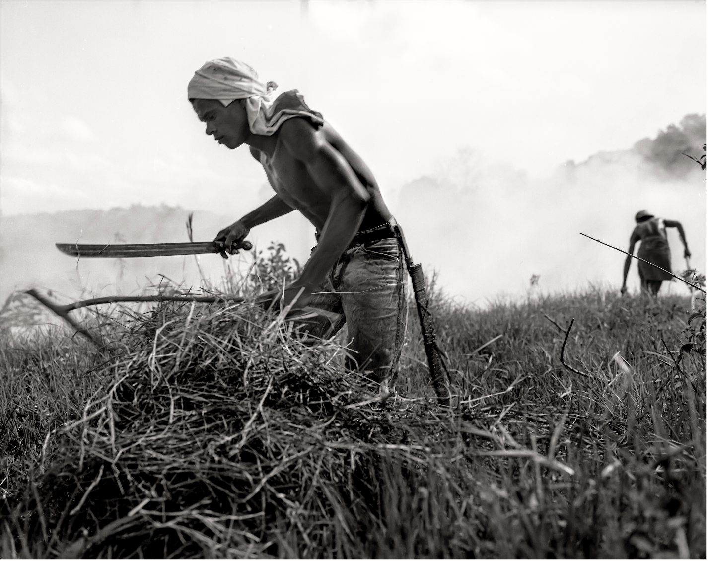 Harvesting Sugarcane (1994)