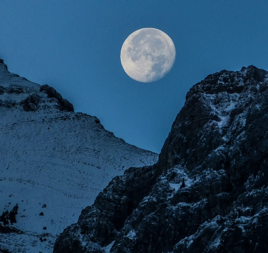 The Call of the Moon