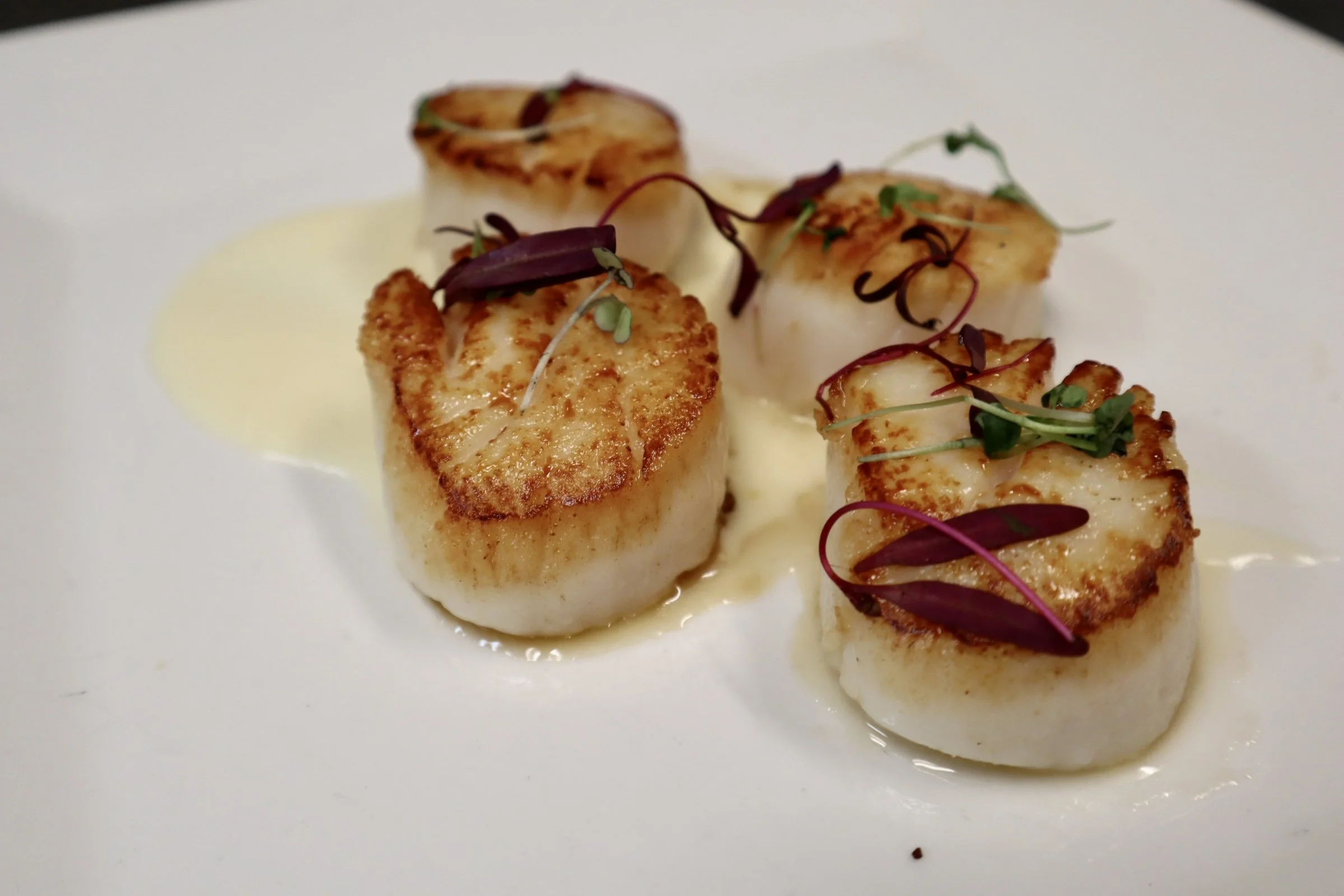Scallops.JPG