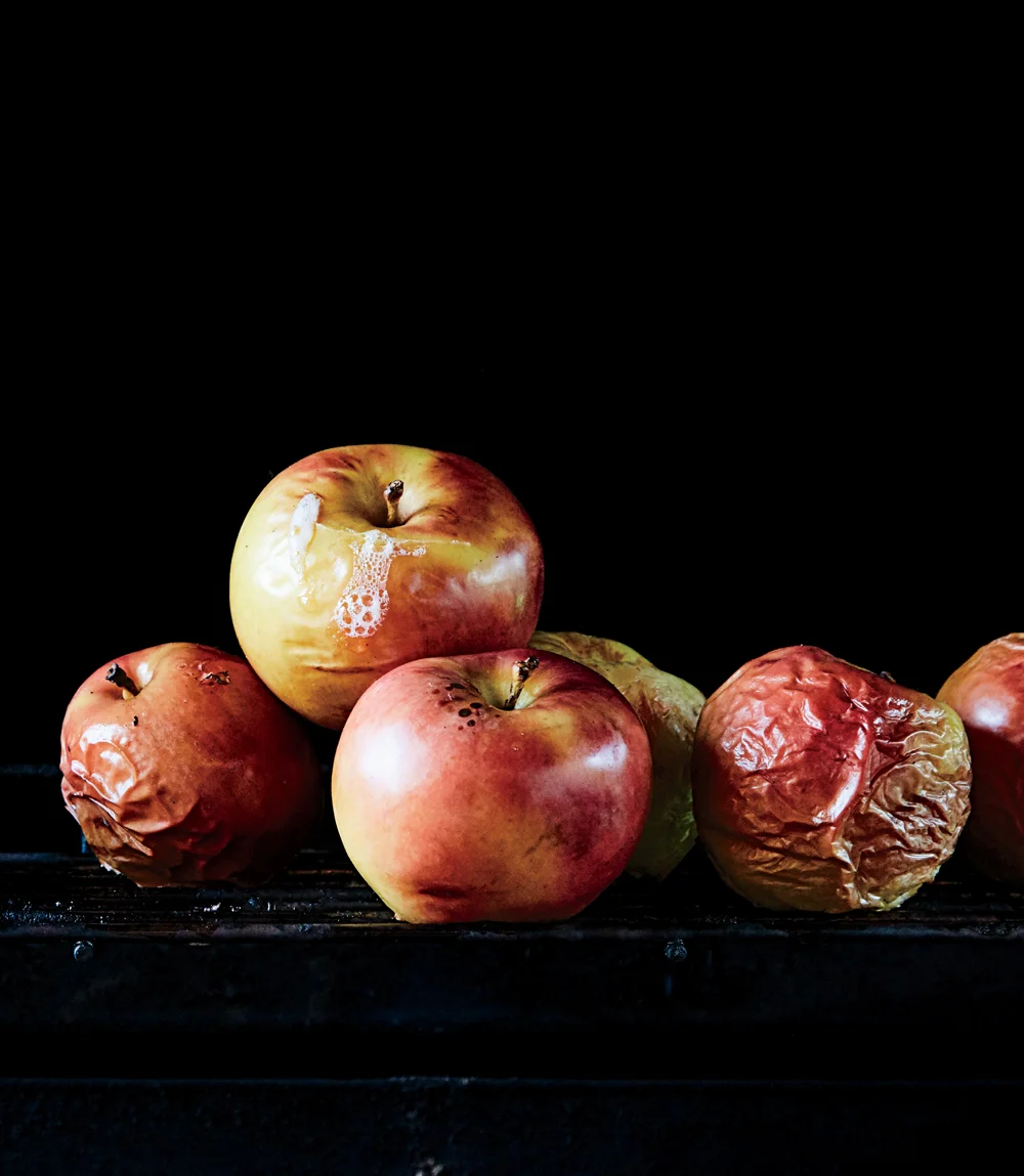 Bittman_finalfile-207.jpg
